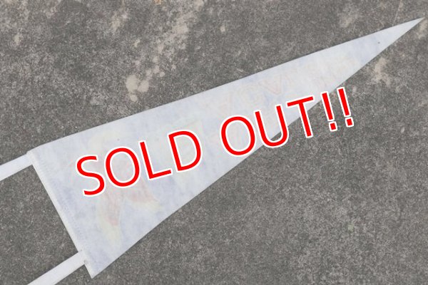 画像7: dp-210401-106  AIR FORCE ACADEMY / Pennant