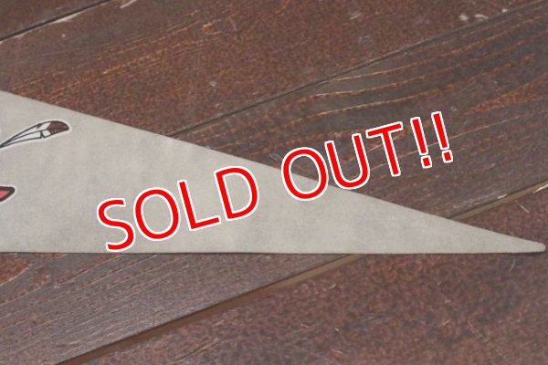 画像5: dp-210401-106  University of Nevada-Las Vegas UNLV / Rebels Pennant