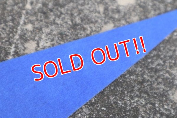 画像5: dp-210401-106  AIR FORCE ACADEMY / Pennant