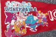 画像2: dp-201114-32 DISNEYRAMA ICE CAPADES / 1960's Pennant