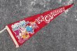 画像1: dp-201114-32 DISNEYRAMA ICE CAPADES / 1960's Pennant