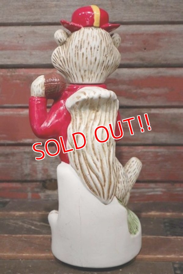 画像6: ct-210401-87 The University of Minnesota / Goldy Gophers 1974 Decanter