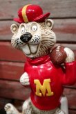 画像2: ct-210401-87 The University of Minnesota / Goldy Gophers 1974 Decanter