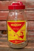 画像1: dp-210701-30 BRADSON GRO-GUN / Vintage Sprayer Bottle