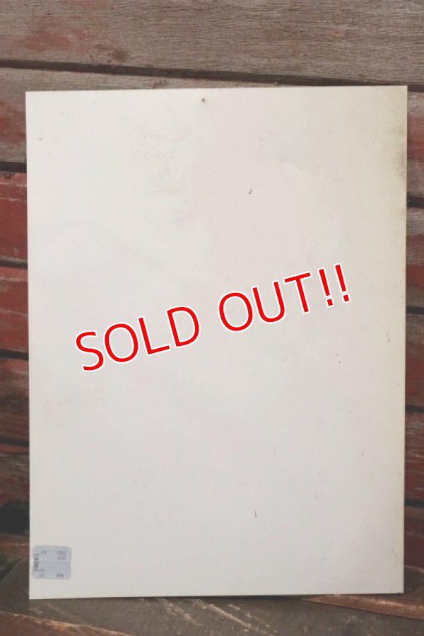 画像6: dp-210701-48 FIRE EXTINGUISHER / Vintage Plastic Sign