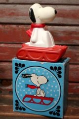 画像: ct-210701-30 Snoopy / AVON 1970's Snow Flyer Bubble Bath Bottle (Box)