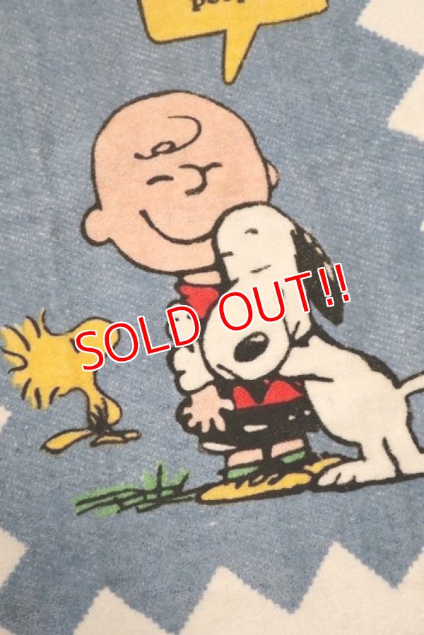 画像2: ct-210801-21 Snoopy & Charlie Brown / Tastemaker 1970's Cotton Towel