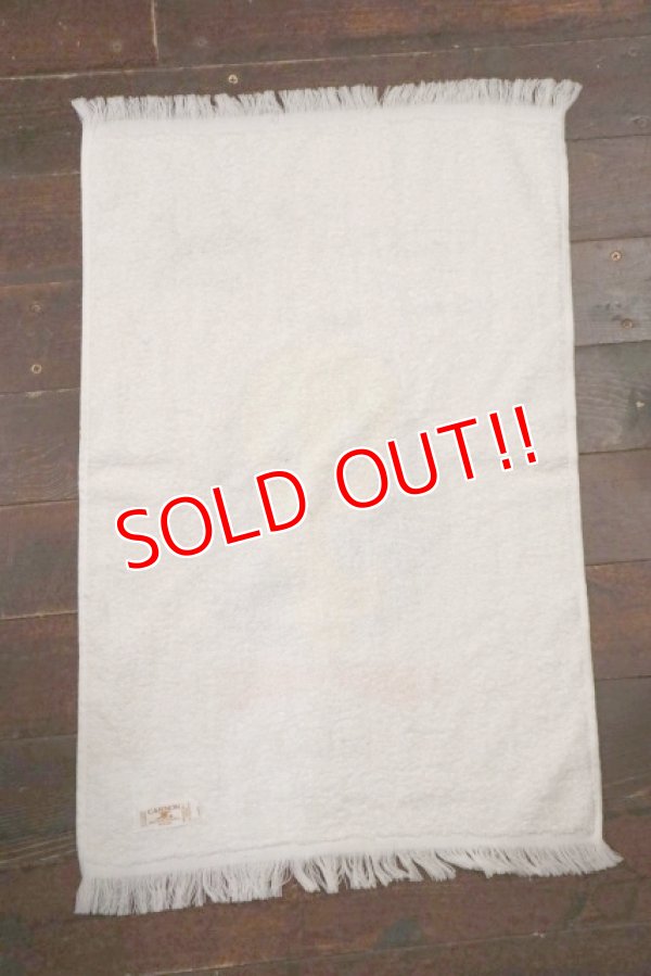 画像5: ct-210801-20 Sylvester & Tweety / CANNON 1970's Cotton Towel