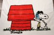 画像2: ct-210801-22 PEANUTS / Tastemaker 1970's Cotton Towel