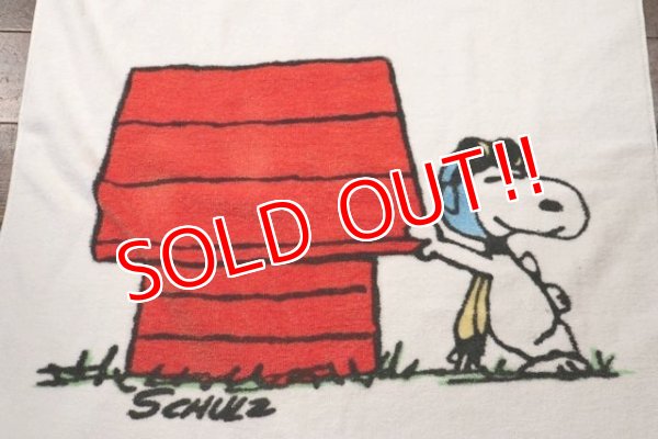 画像2: ct-210801-22 PEANUTS / Tastemaker 1970's Cotton Towel