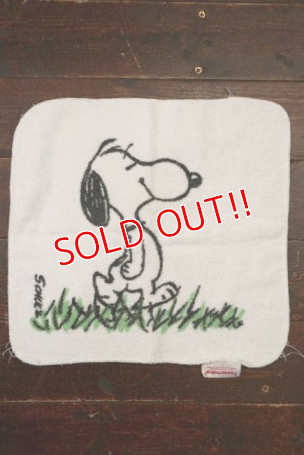 画像1: ct-210801-17 Snoopy / Tastemaker 1970's Hand Towel