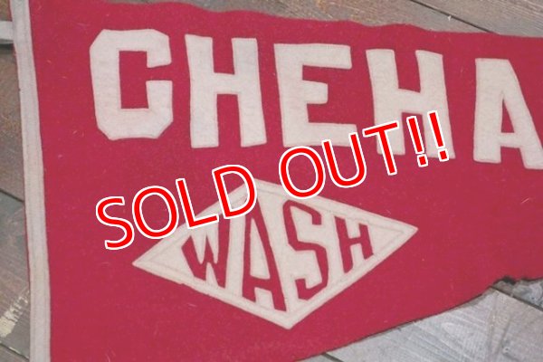 画像2: dp-210701-08 Chehalis, Washington / 1950's Pennant