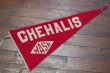 画像1: dp-210701-08 Chehalis, Washington / 1950's Pennant