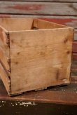 画像3: dp-210601-08 FAMILY CRATES OF FRUITS / Vintage Wood Box