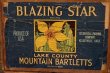 画像2: dp-210601-07 BLAZING STAR / Vintage Wood Box