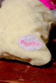 画像7: ct-210701-08 Popples / 1980's Slumber Party Popples Pancake Plush Doll