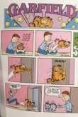 画像4: ct-210501-94 Garfield / 2003 Garfield FAT CAT 3-PACK Comic