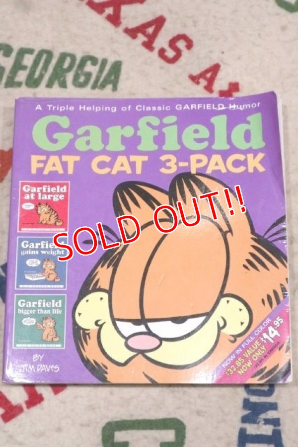画像1: ct-210501-94 Garfield / 2003 Garfield FAT CAT 3-PACK Comic