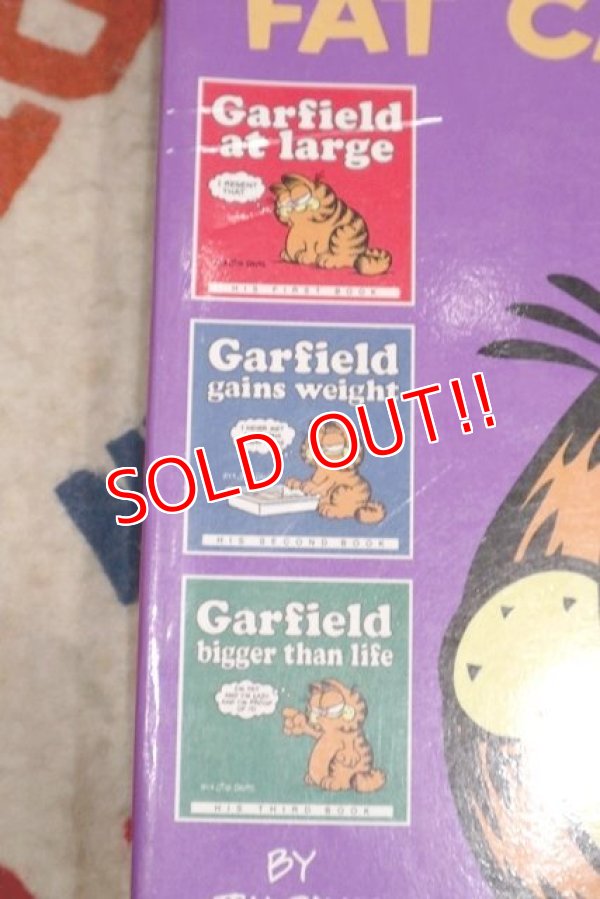 画像2: ct-210501-94 Garfield / 2003 Garfield FAT CAT 3-PACK Comic