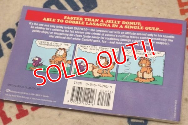 画像5: ct-210501-94 Garfield / 1997 Comic "Garfield hams it up"