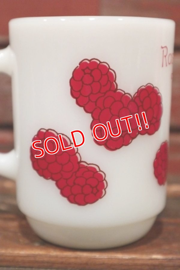 画像4: ct-210301-56 Strawberry Shortcake / Raspberry Tart 1980's Anchor Hocking Mug