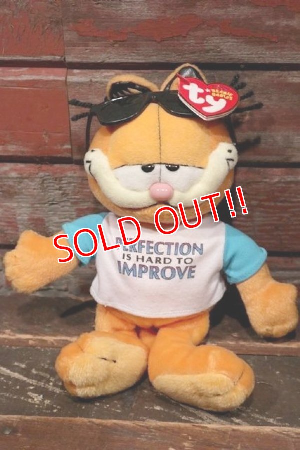 画像1: ct-211201-02 Garfield / Ty Beanie Babies 2007 Plush Doll 