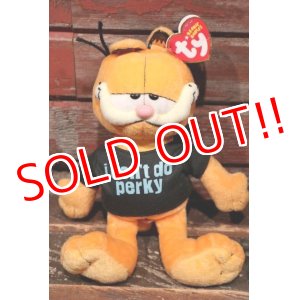 画像: ct-211201-03 Garfield / Ty Beanie Babies 2007 Plush Doll 