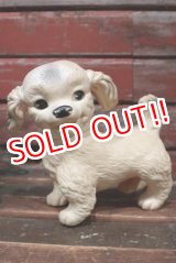 画像: ct-211210-21 Unknown / Vintage Dog Rubber Doll