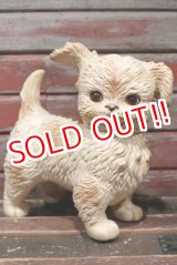 画像: ct-211210-23 EDWARD MOBLEY / 1960's Sleep Eyes Dog Rubber Doll