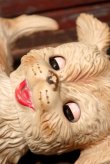 画像3: ct-211210-23 EDWARD MOBLEY / 1960's Sleep Eyes Dog Rubber Doll