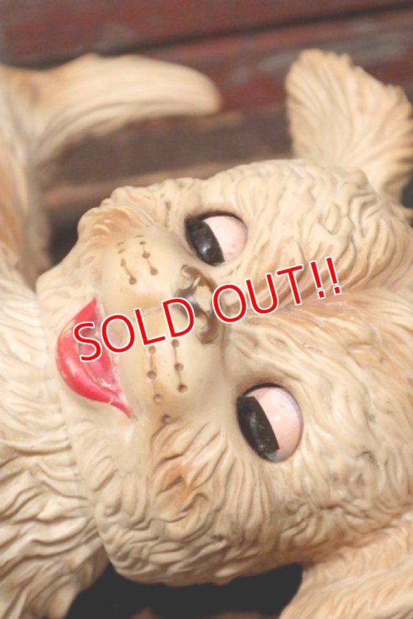 画像3: ct-211210-23 EDWARD MOBLEY / 1960's Sleep Eyes Dog Rubber Doll