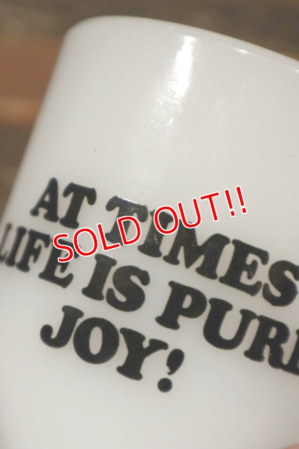 画像8: ct-211210-57 Snoopy / Fire King 1960's-1970's 9oz Mug "JOY"