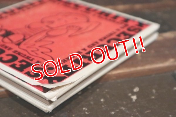 画像9: ct-211201-108 PEANUTS / SECURITY IS A THUMB AND A BLANKET 1970's Book