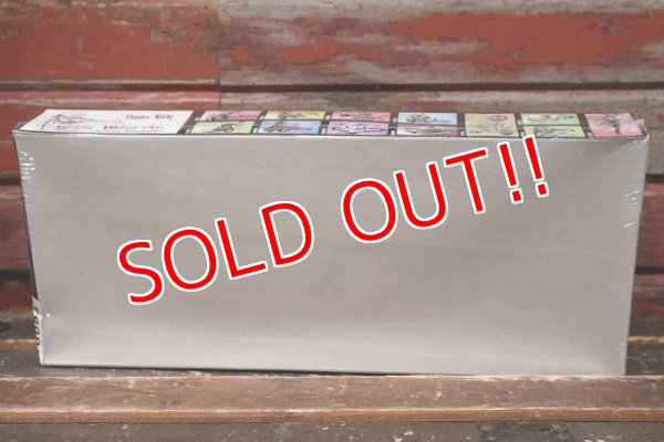 画像8: ct-220301-12 Weird-ohs / HAWK 2006 "Daddy " The Way Out Suburbanite Model Kit