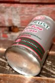 画像5: dp-220301-93 DU PONT / ANTI-RUST and Water Pump Lubricant Can