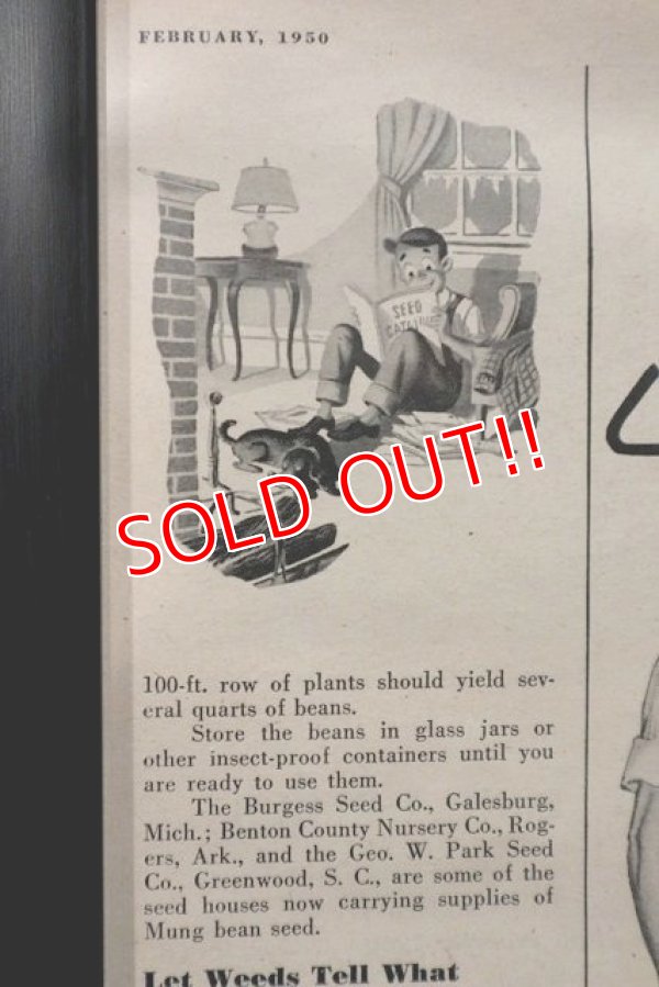 画像5: dp-220301-131 Lee / 1950 Advertisement