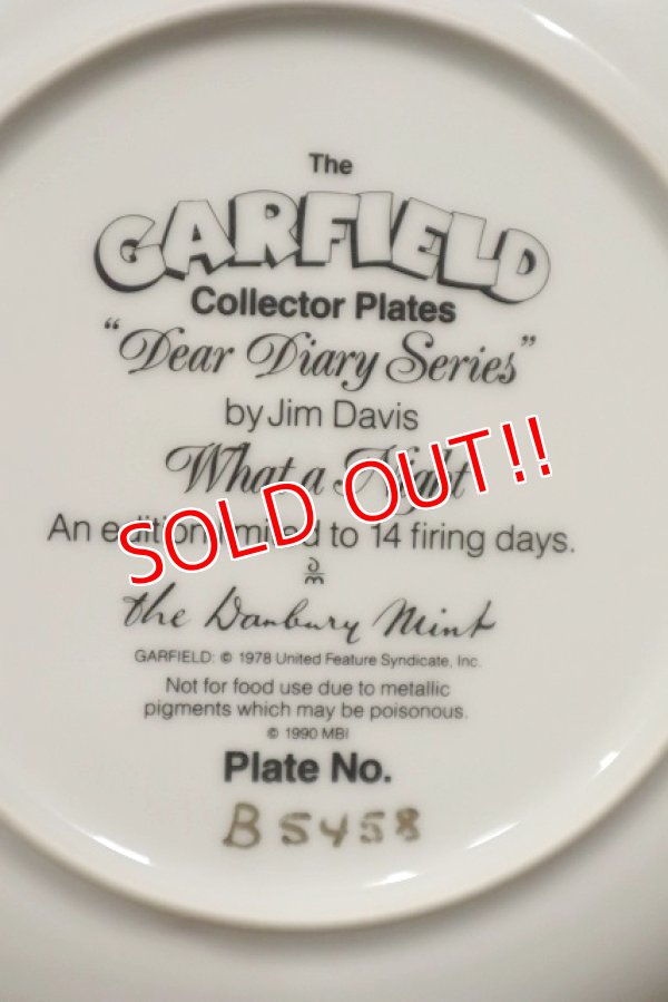 画像7: ct-220301-36 Garfield / 1990 Collectors Plate "What a Night"