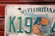 画像3: nt-220421-01 License Plate "FLORIDA"
