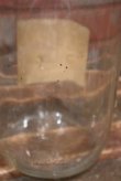 画像4: dp-220501-01 Butter-Nut Coffee / 1940's Glass Jar