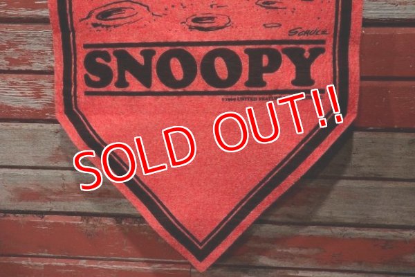 画像4: ct-220501-08 PEANUTS / 1960's Snoopy Banner "The Moon Is Made of American Cheese!"