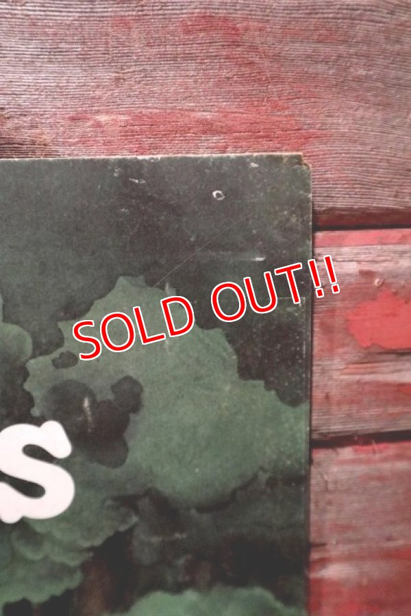 画像6: dp-220501-65 McDonald's / 1979 Translite "Shamrock Shakes"