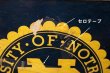 画像8: dp-220501-77 University of Notre Dam Fighting Irish / 1970's Storage Box