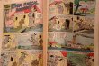 画像6: ct-220401-01 Ruff and Reddy / DELL 1960 Comic