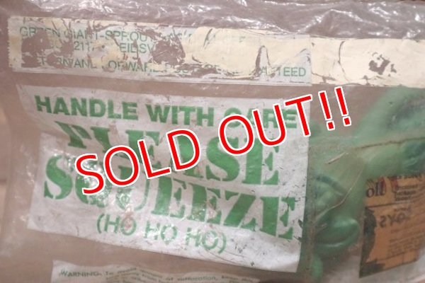 画像8: ct-211201-78 Little Sprout / 1970's Soft Vinyl Figure