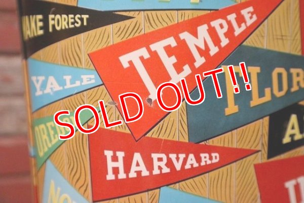 画像7: dp-220801-03 College Pennant / CHEINCO 1960's Trash Can