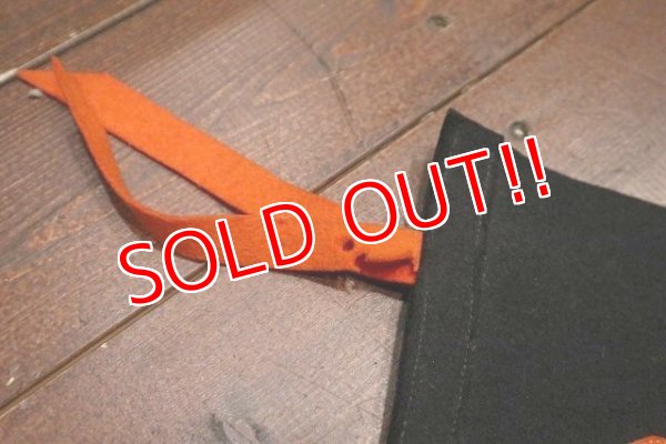 画像5: dp-220719-08 OREGON STATE / Vintage Pennant