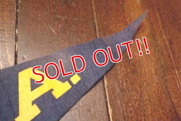 画像4: dp-220719-09 U.C.L.A. / Vintage Pennant