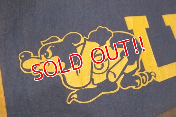 画像2: dp-220719-09 U.C.L.A. / Vintage Pennant