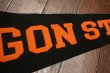 画像3: dp-220719-08 OREGON STATE / Vintage Pennant