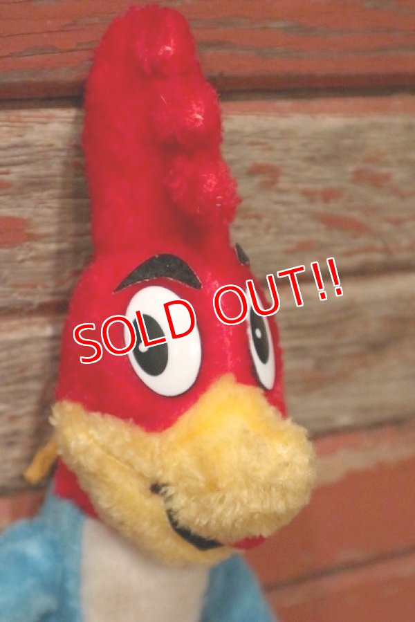 画像2: ct-220719-93 Woody Woodpecker / ACE NOVELTY CO. 1985 Plush Doll